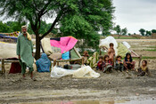 Pakistan floods - UNICEF